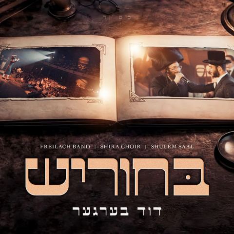 עטיפת האלבום של דוד בערגער - בחוריש