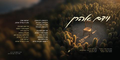 עטיפת האלבום של ארי סאמעט & הערשי ויינברגר - וידם אהרן
