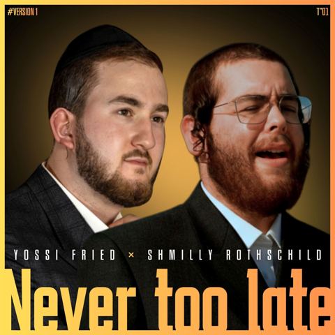 עטיפת האלבום של יוסי פריד & שמילי רוטשילד - Never Too Late
