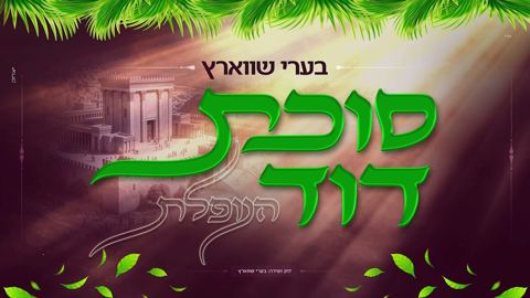 עטיפת האלבום של בערי שווארץ - סוכת דוד