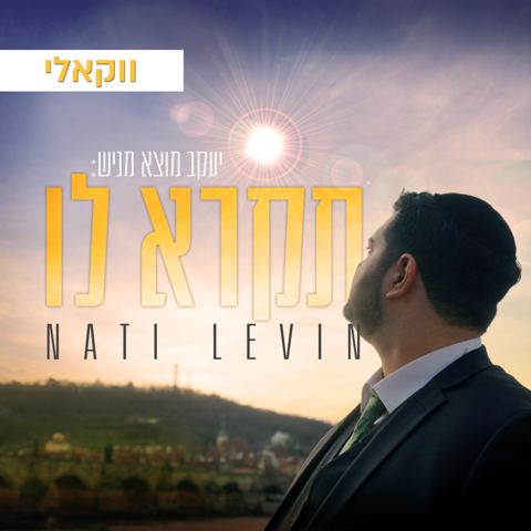 עטיפת האלבום של נתי לוין - תקרא לו (ווקאלי)
