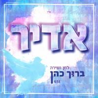 עטיפת האלבום של אדיר במרום