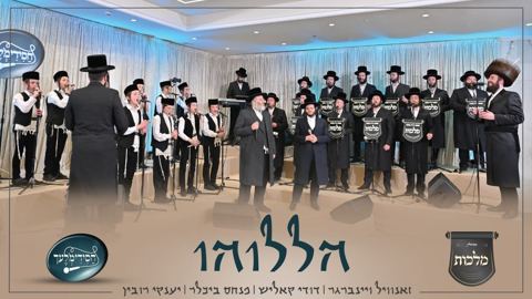 עטיפת האלבום של זאנוויל ויינברגר, דודי קאליש, פנחס ביכלר, מקהלת מלכות, מקהלת חסידימלעך - הללוהו
