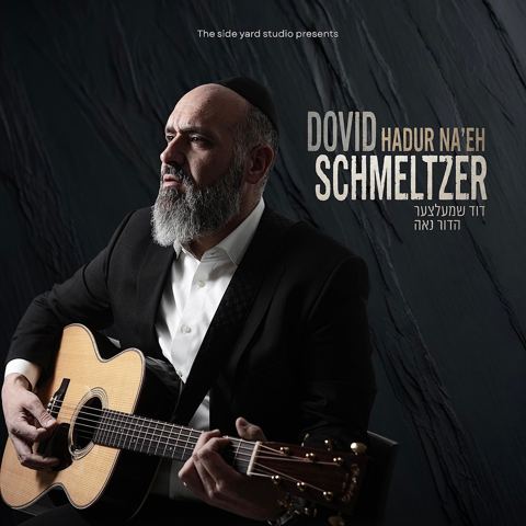 עטיפת האלבום של דוד שמעלצער - הדור נאה