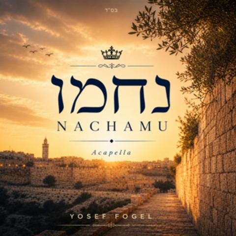 עטיפת האלבום של יוסף פוגל - נחמו - ווקאלי