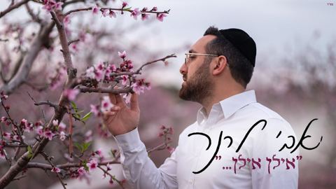 עטיפת האלבום של אבי לרנר - אילן אילן