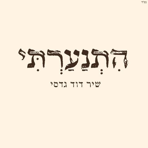 עטיפת האלבום של שיר דוד גדסי - התנערתי