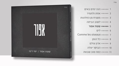 עטיפת האלבום של תקציר שטח אפור