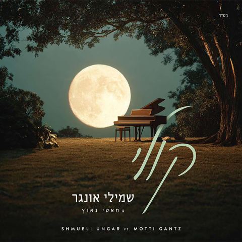עטיפת האלבום של שמילי אונגר & מאטי גאנץ - קולי