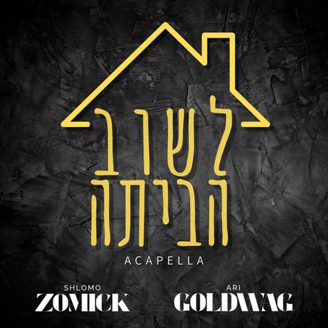 עטיפת האלבום של שלמה זמיק & ארי גולדוואג - לשוב הביתה - ווקאלי