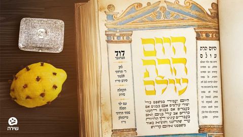 עטיפת האלבום של דוד בערגער - היום הרת עולם