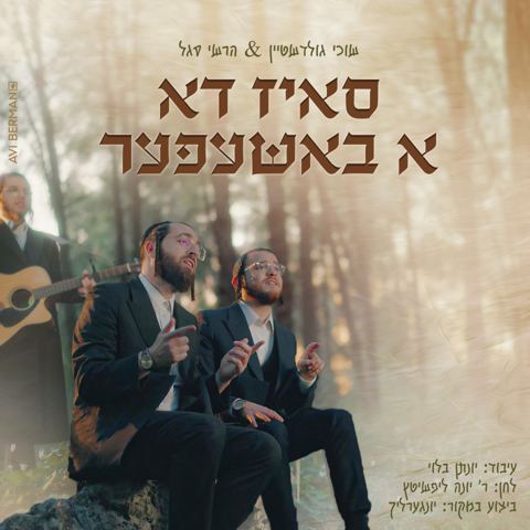 עטיפת האלבום של שוכי גולדשטיין והרשי סגל - סאיז דא א באשעפער