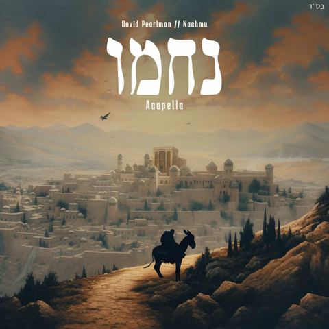 עטיפת האלבום של דוד פרלמן - נחמו (ווקאלי)