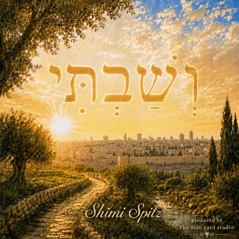 עטיפת האלבום של שימי שפיץ - ושבתי