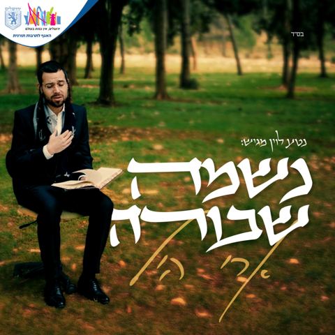 עטיפת האלבום של ארי היל - נשמה שבורה