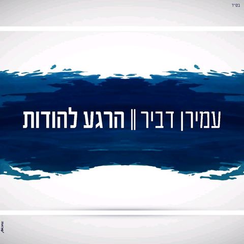 עטיפת האלבום של עמירן דביר הרגע להודות