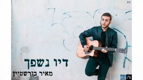 עטיפת האלבום של דיו נישפך