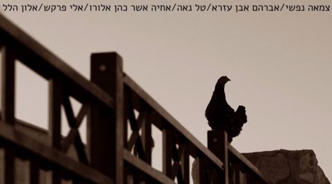 עטיפת האלבום של צמאה נפשי