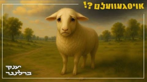 עטיפת האלבום של יענקי ברלינגר - אויסגעוועלט