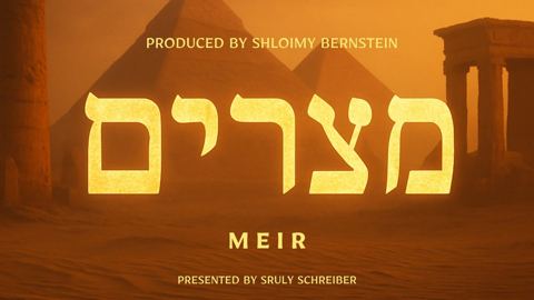 עטיפת האלבום של מאיר רוזנברג - מיין מצרים