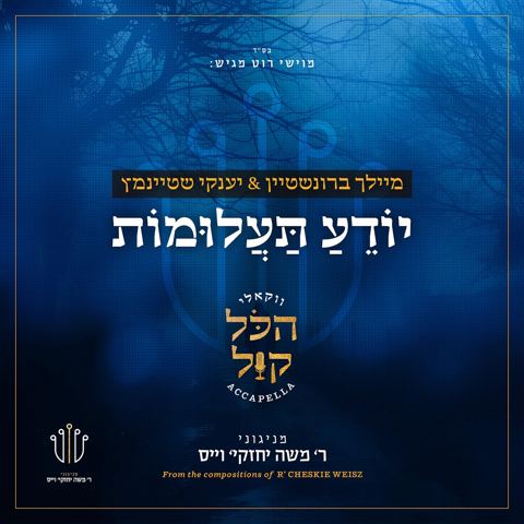 עטיפת האלבום של מיילך ברוינשטיין & יענקי שטיינמץ - יודע תעלומות - ווקאלי