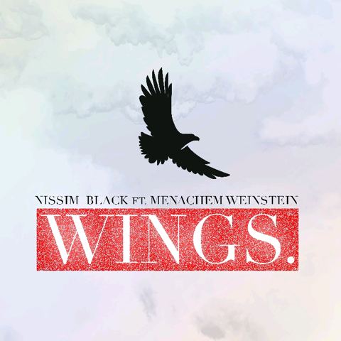 עטיפת האלבום של Wings