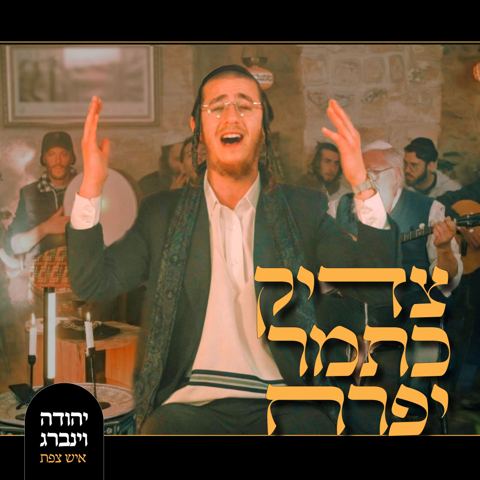 עטיפת האלבום של יהודה וינברג - צדיק כתמר