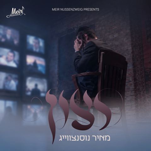 עטיפת האלבום של מאיר נוסנצווייג - רצון