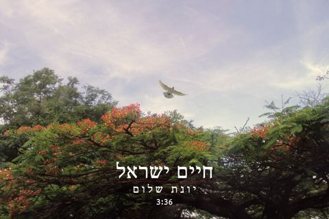 עטיפת האלבום של יונת שלום
