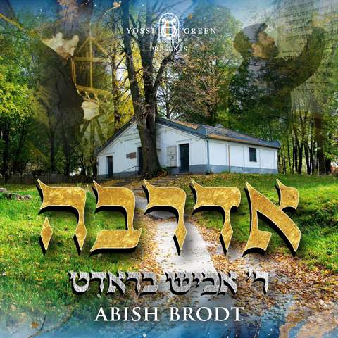 עטיפת האלבום של אביש בראדט - אדרבה