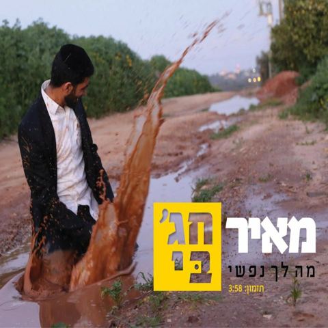 עטיפת האלבום של מה לך נפשי