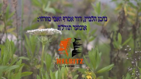 עטיפת האלבום של נחמן הלביץ, דור אסרף, אבי מזרחי - אונזער תורל'ה