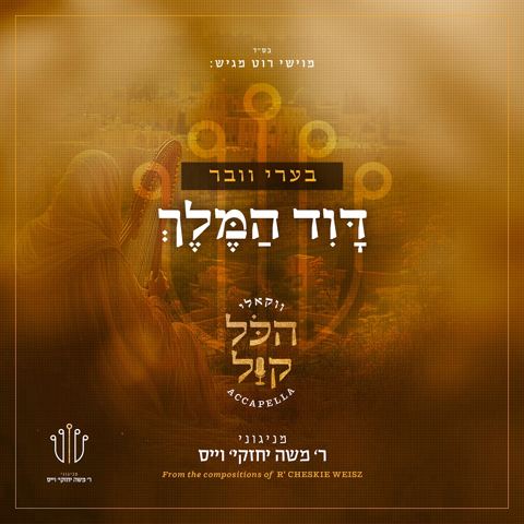 עטיפת האלבום של בערי וועבער - דוד המלך - ווקאלי