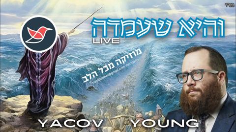 עטיפת האלבום של יעקב יאנג בקאבר ללהיט ''והיא שעמדה'' של שוואקי