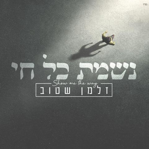 עטיפת האלבום של - זלמן שטוב - נשמת כל חי - חסידי