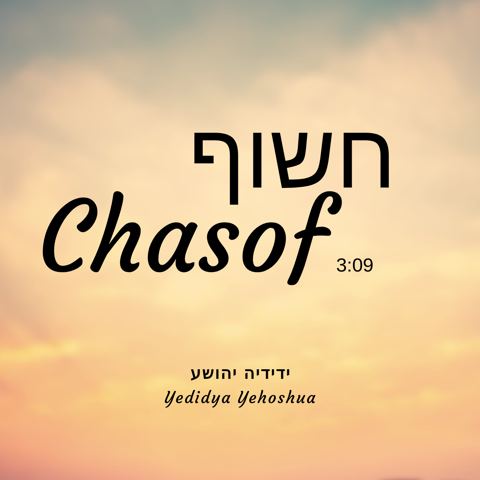 עטיפת האלבום של ידידיה יהושע - חשוף