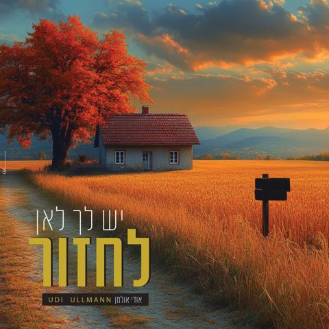 עטיפת האלבום של אודי אולמן - יש לך לאן לחזור