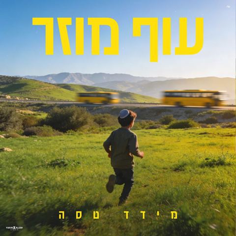 עטיפת האלבום של מידד טסה - עוף מוזר