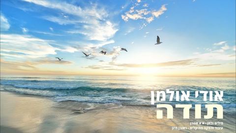 עטיפת האלבום של אודי אולמן - תודה