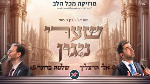 עטיפת האלבום של שלמה ברונר ואלי הרצליך מפתיעים שוב ''שערי ניגון''