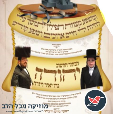 עטיפת האלבום של 08 דובי מייזעלס   הערשי וויינבערגער - זיי גיט