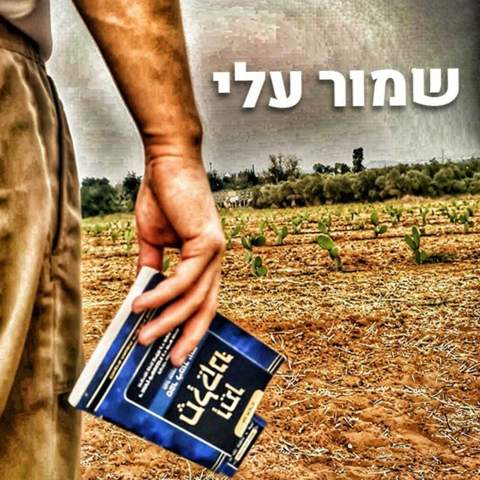 עטיפת האלבום של שמור עלי אמני ישראל