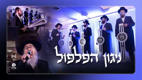 עטיפת האלבום של שלמה זלמן הורוויץ & מקהלת שירה - ניגון הפלפול