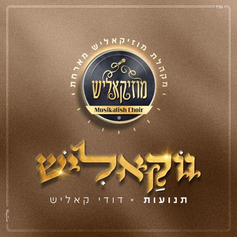 עטיפת האלבום של מקהלת מוזיקאליש & דודי קאליש - תנועות - ווקאלי
