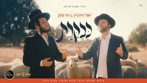 עטיפת האלבום של יואלי דוידוביץ & דודי פולק - כבקרת