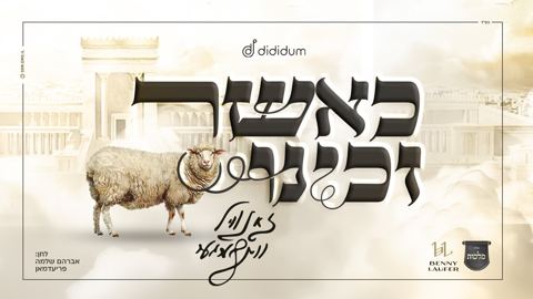 עטיפת האלבום של זאנוויל ויינברגר - כאשר זכינו