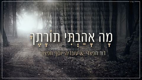 עטיפת האלבום של מה אהבתי תורתך