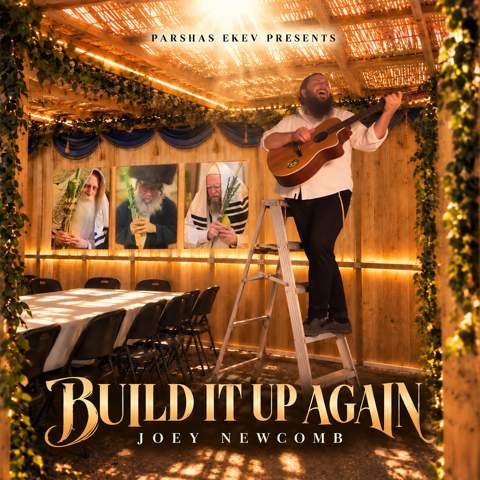 עטיפת האלבום של ג'ואי ניוקם - Build It Up Again