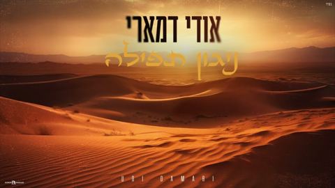 עטיפת האלבום של אודי דמארי - ניגון תפילה