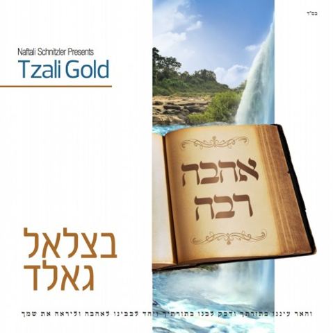 עטיפת האלבום של מתרצה